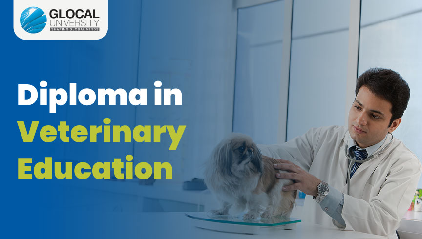 Veterinary Education